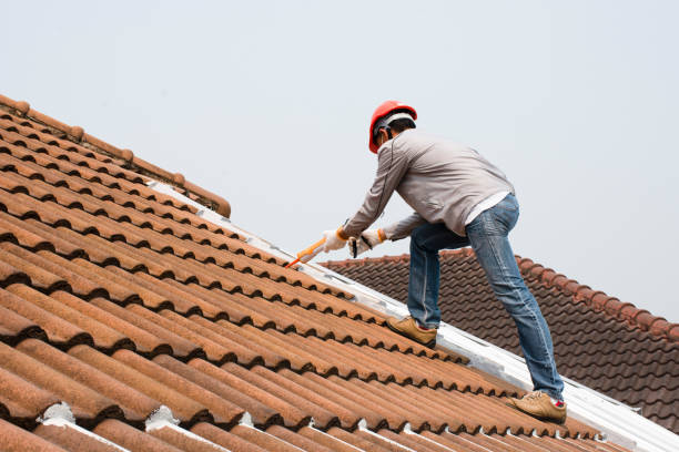 Best Roof Maintenance and Cleaning  in Terry, MS