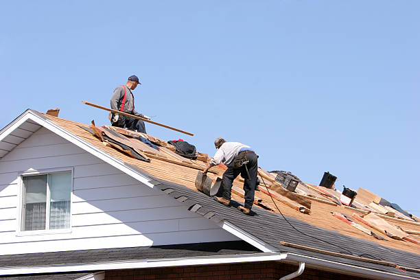 Best Roof Coating and Sealing  in Terry, MS