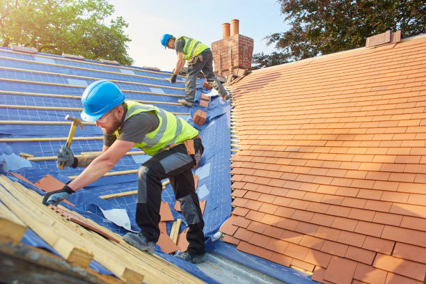 Best Solar Panel Roofing Installation  in Terry, MS